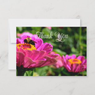 Pink zinnia with bumblebee, pink flowers, cute bee thank you card
