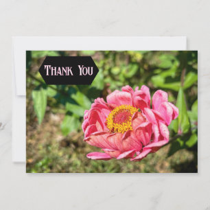 Pink Zinnia with Yellow Centre Thank You Card