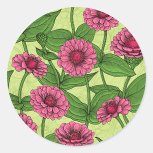 Pink Zinnias on light green Classic Round Sticker