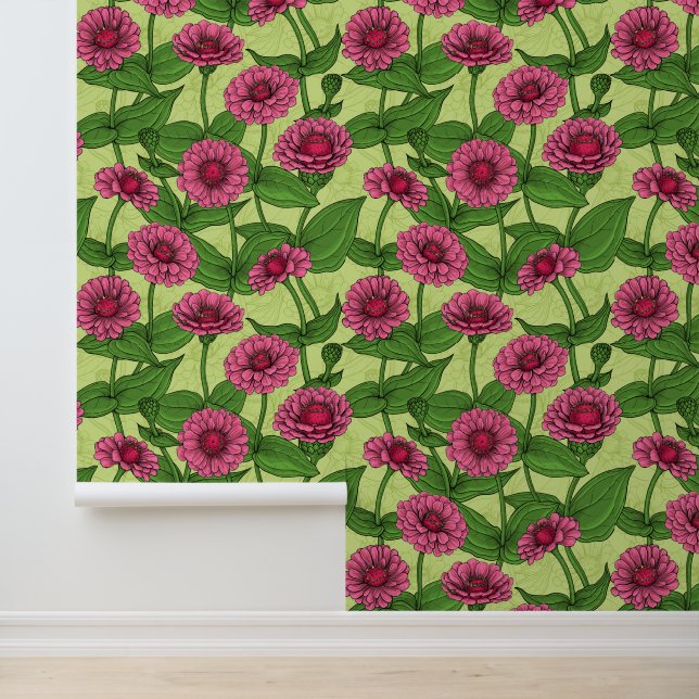 Pink Zinnias on light green Wallpaper (Application)