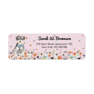Pink ZwergSchnauzer Dog