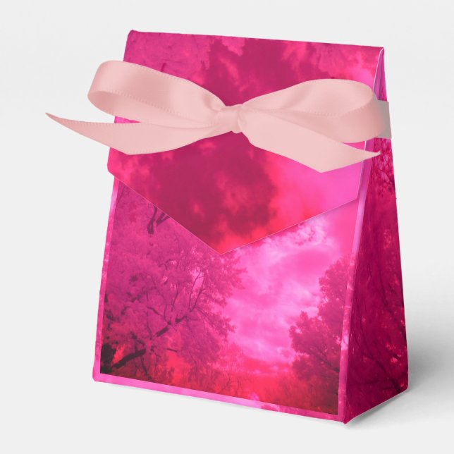 Pinkish Hues Infrared Cloud Favour Box (Front Side)