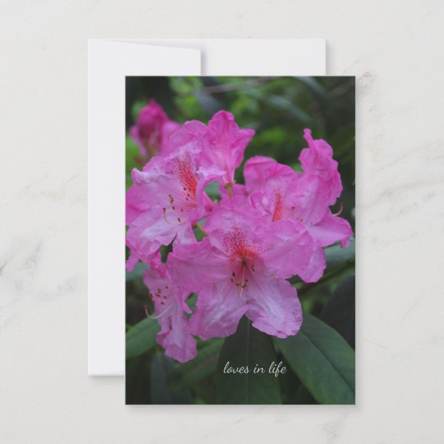 Pinkish Purple Rododendron Card (Front)