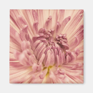 PinkPetals1_5x7etsy Magnet
