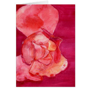 pinkrose