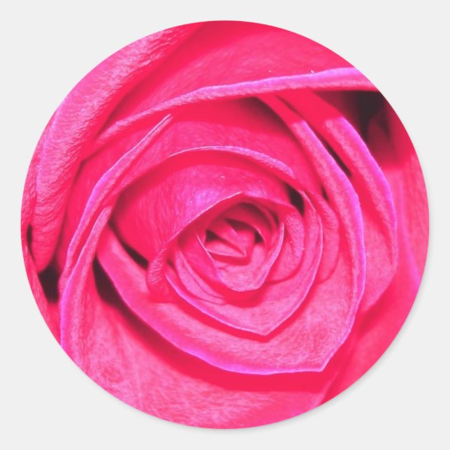 Pinks and Reds Envelope Sticker (Front)