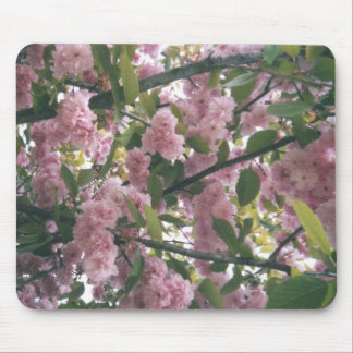 pinkspringtrees 001 mouse pad