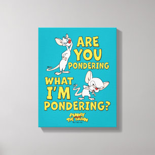 Pinky and the Brain   Are You Pondering? Canvas Print
