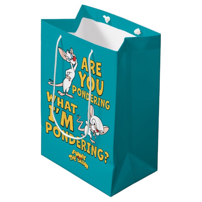 Pinky and the Brain | Are You Pondering? Medium Gift Bag (Front Angled)