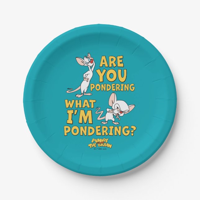 Pinky and the Brain | Are You Pondering? Paper Plate (Front)