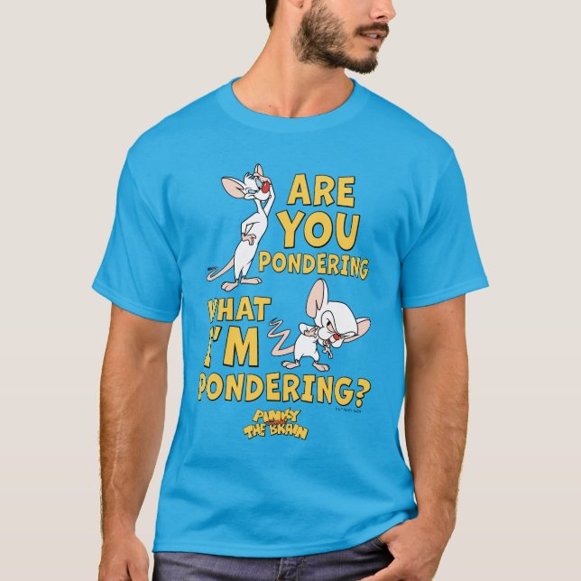 Pinky and the Brain | Are You Pondering? T-Shirt (Front)