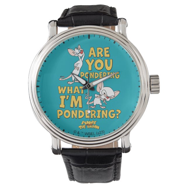 Pinky and the Brain | Are You Pondering? Watch (Front)