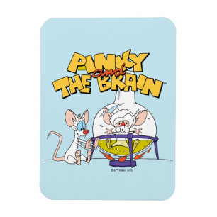 Pinky and the Brain Laboratory Science Magnet