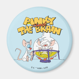 Pinky and the Brain Laboratory Science Magnet