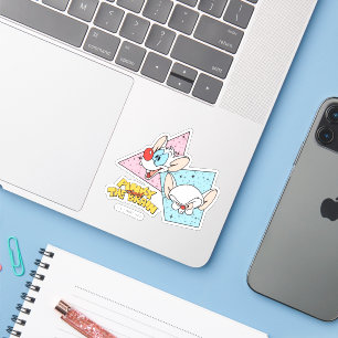 Pinky and the Brain   Retro Character Graphics