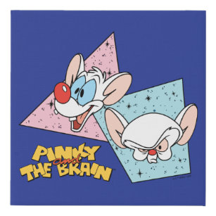 Pinky and the Brain   Retro Character Graphics Faux Canvas Print