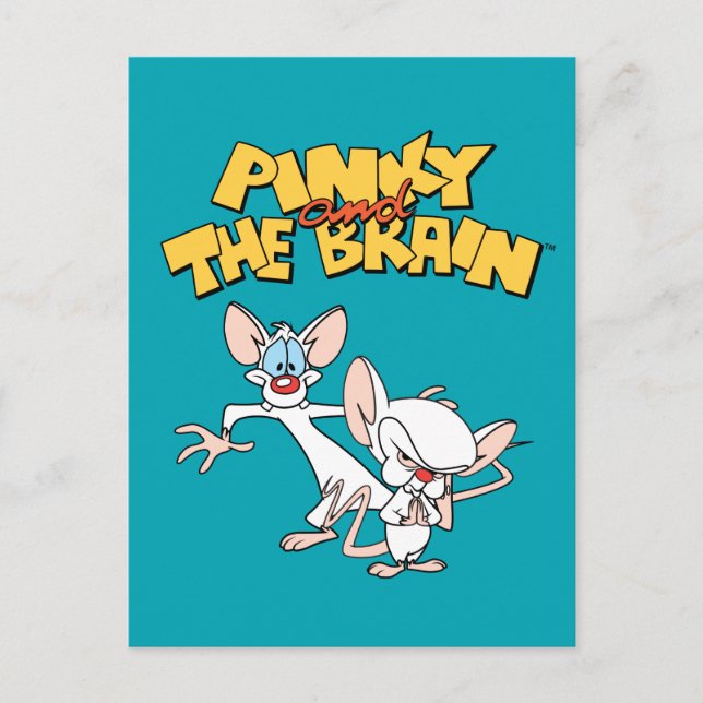 Pinky and the Brain | Show Logo Postcard (Front)