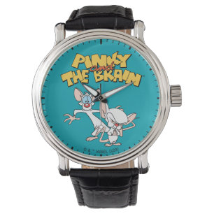 Pinky and the Brain   Show Logo Watch