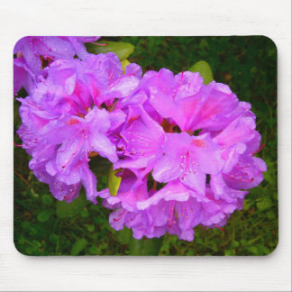 pinky pinky mouse pad