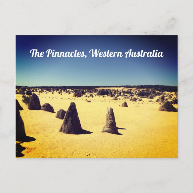 Pinnacles, Western Australia Postcard (Front)
