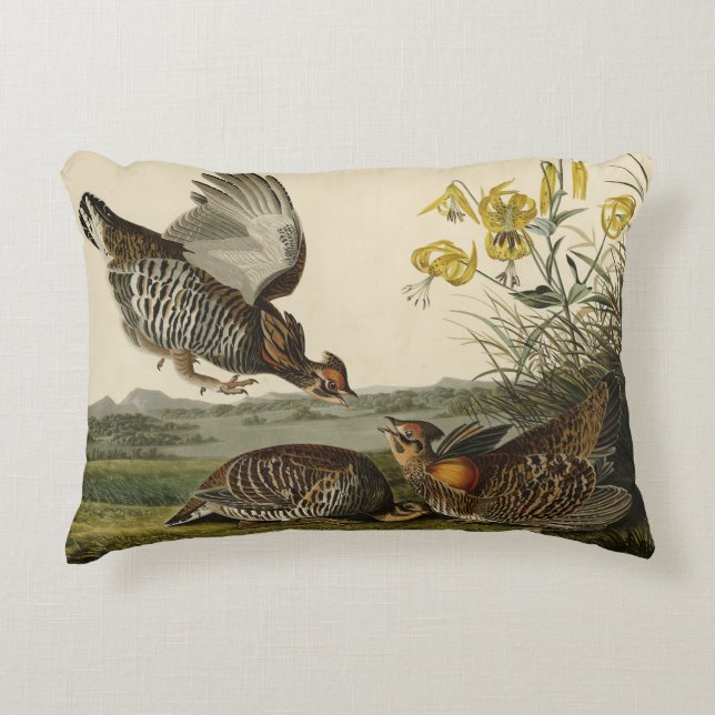 Pinnated Grouse (Grous) Audubon's Birds of America Decorative Cushion (Front)