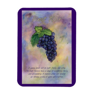 Pinot Noir Wine Grapes Painting Art Magnet