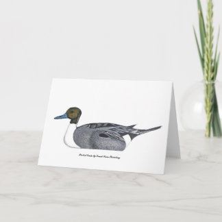 Pintail Duck Greeting Card, by David Ivan Strombeg Card