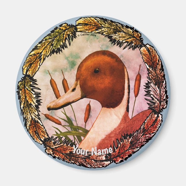 Pintail Duck  magnet  (Front)