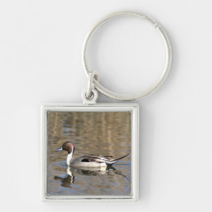 Pintail Duck Swims In A Pond Key Ring