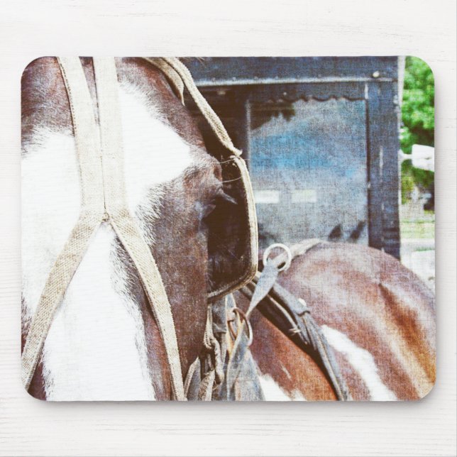 Pinto Amish Buggy Horse Mouse Pad (Front)
