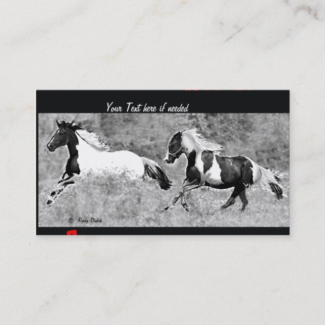 Pinto Bussiness Cards (Front)