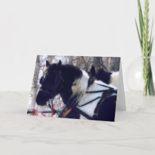 Pinto Draught Horses Birthday Card