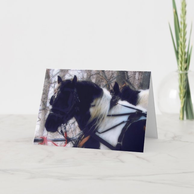 Pinto Draught Horses Birthday Card (Front)