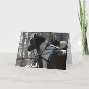 Pinto Draught Horses, Christmas Holiday Card