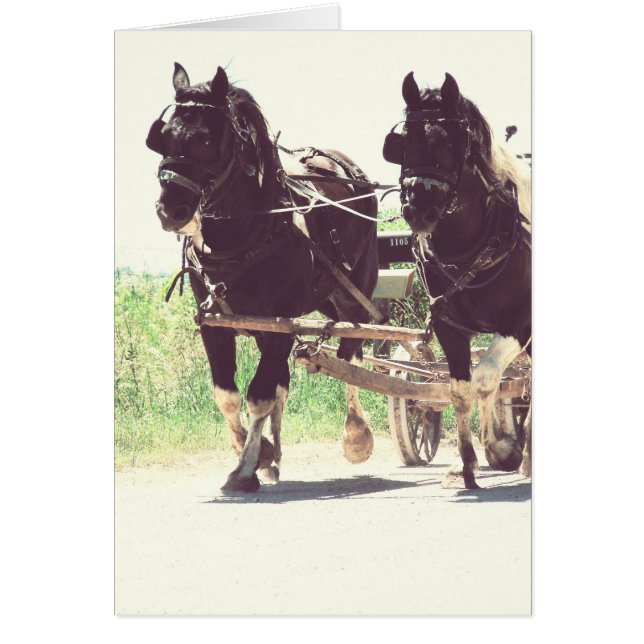 Pinto Draughts at Work Vintage Effect (Front)