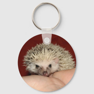 Pinto face hedgehog key ring