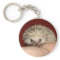Pinto face hedgehog