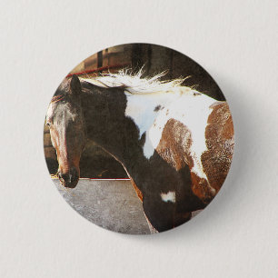Pinto Horse 6 Cm Round Badge