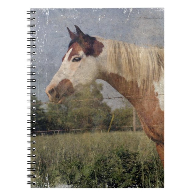 Pinto Horse Grunge Spiral Notebook (Front)