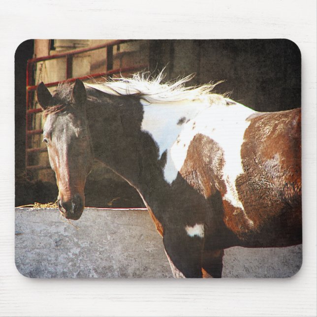 Pinto Horse Mouse Pad (Front)