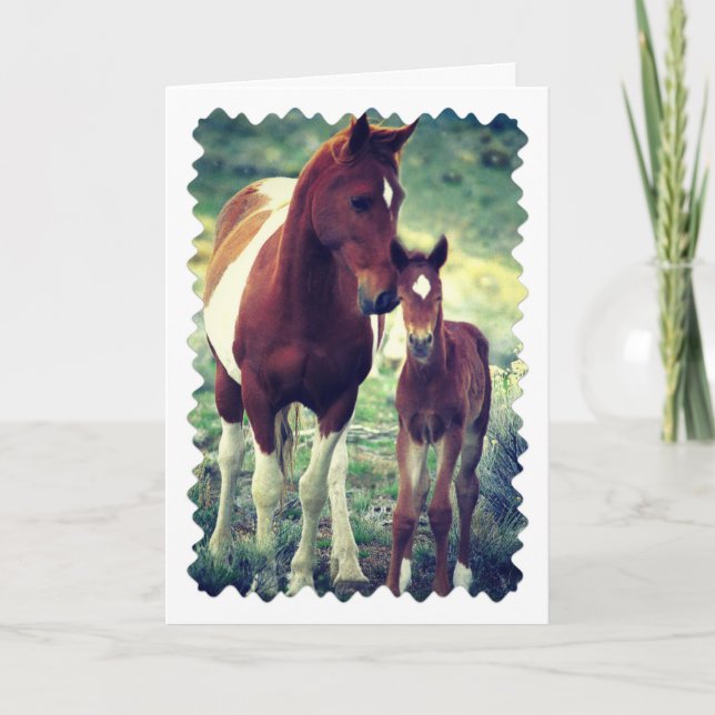Pinto Mare and Foal, Birthday Card (Front)