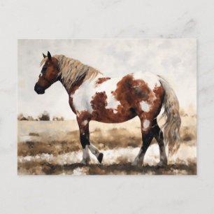Pinto Mustang Horse Painting Postcard