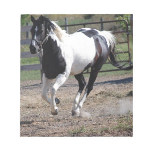 Pinto Paint Horse Notepad