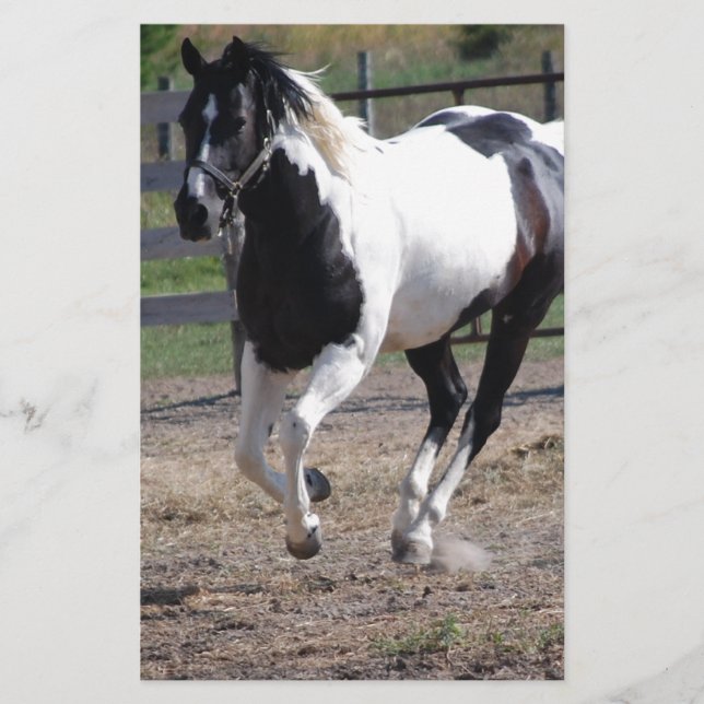 Pinto Paint Horse Stationery (Front)