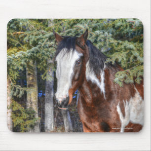 Pinto Paint Stallion & Evergreen Trees Mouse Pad