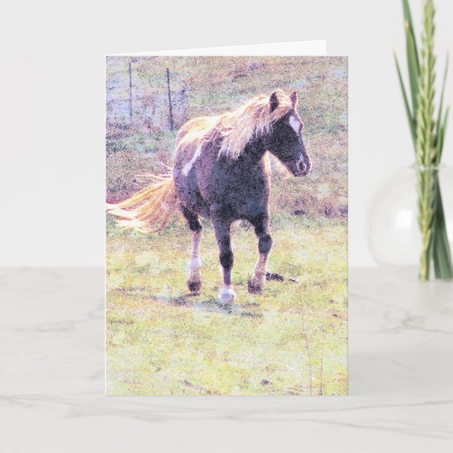 Pinto Pony, Father's Day Card (Front)