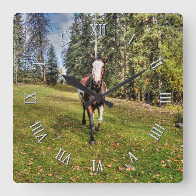 Pinto Ranch Horse Running in a Forested Field Square Wall Clock (Front)