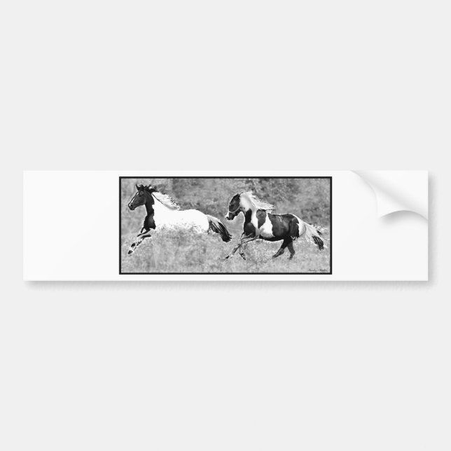 Pintos Galloping, Customisable Bumper Sticker (Front)