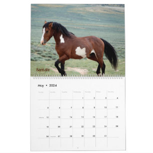 Pintos of Sand Wash Basin Calendar