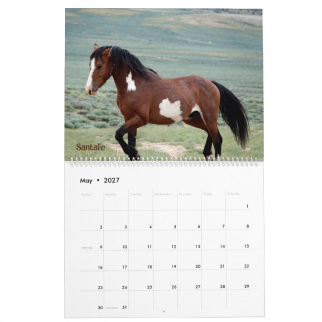Pintos of Sand Wash Basin Calendar (May 2027)